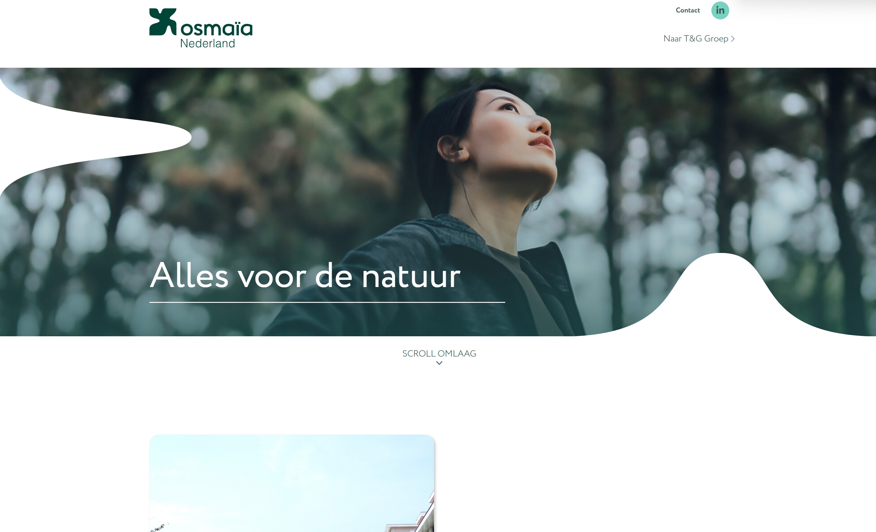 Project afbeelding
